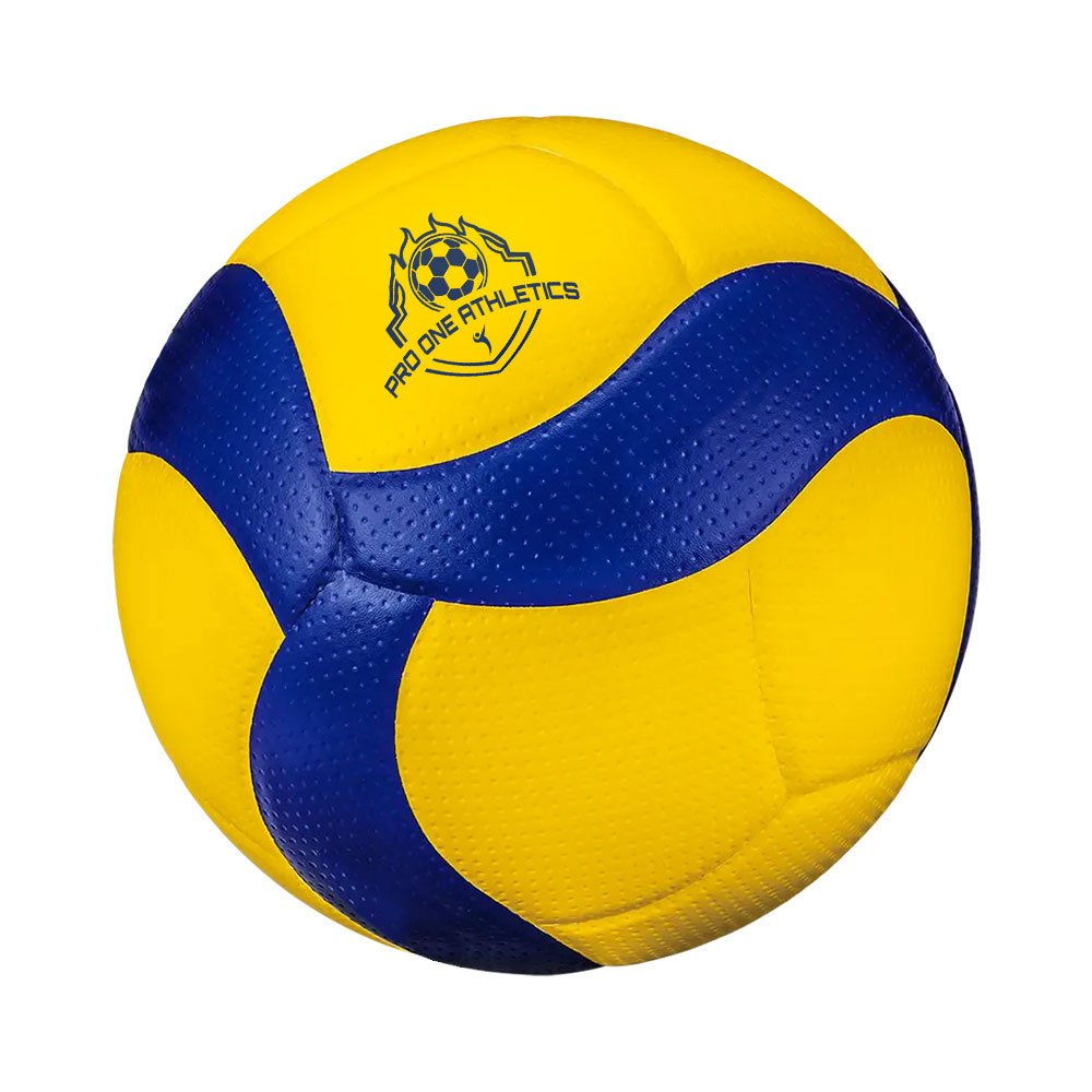Customized Volleyballs