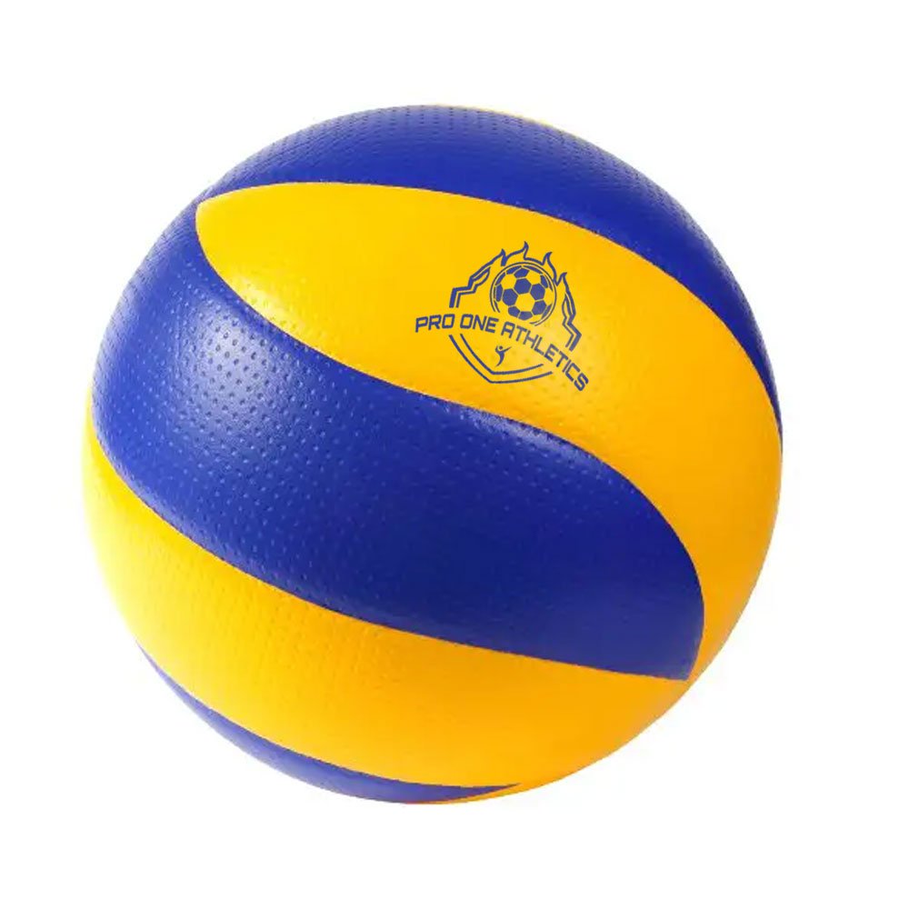 Customized Volleyballs