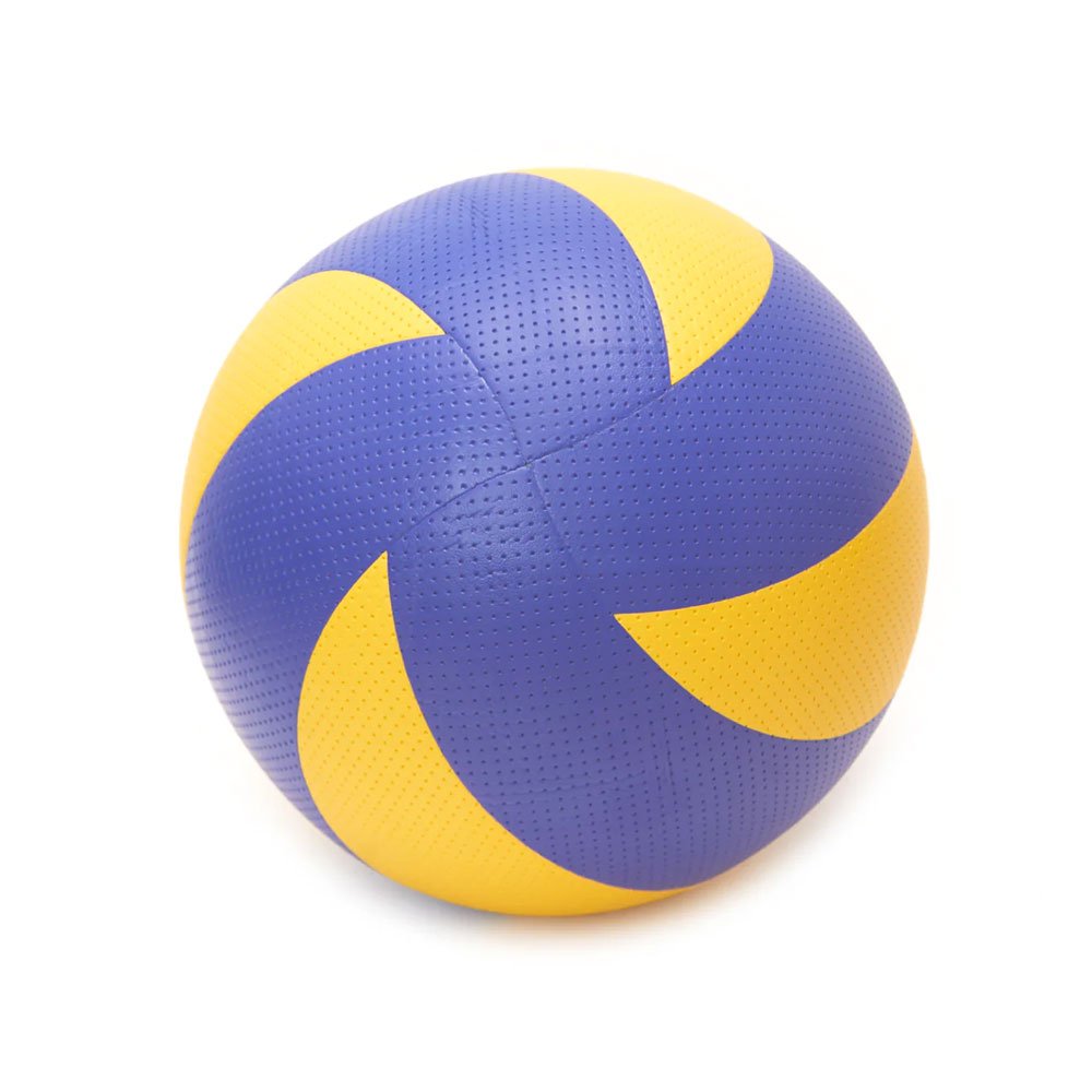Customized Volleyballs